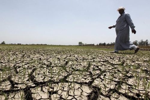 OECD: Các nước giàu không cung cấp đủ 100 tỷ USD/năm để chống biến đổi khí hậu
