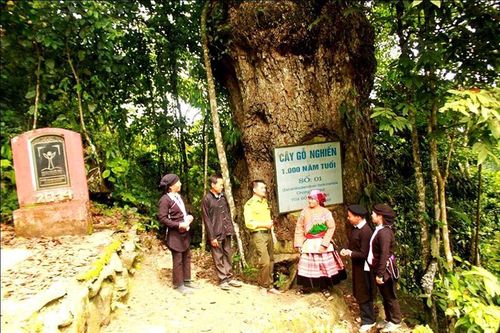 Trở lại 'ốc đảo' Cốc Ly
