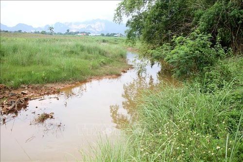 Tín hiệu tích cực từ dòng Nậm Tôn