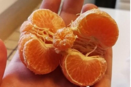 14 sự vật tưởng bình thường nhưng nhìn kỹ bạn sẽ phải ngạc nhiên trầm trồ