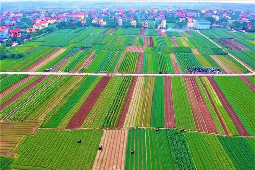 Hà Nội xây dựng nông thôn mới bền vững gắn với thể mạnh từng địa phương