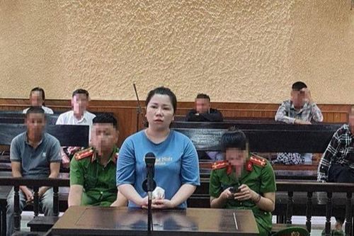Vận chuyển ma túy, người phụ nữ nhận án chung thân