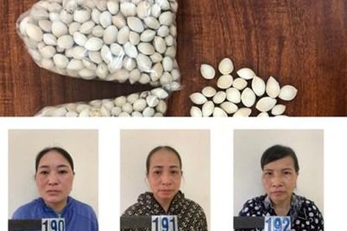 Mua cân bạch quả giá 400 nghìn đồng lừa bán … 300 triệu đồng