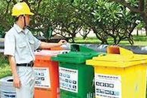 Không phân loại rác sinh hoạt bị phạt lên đến 1 triệu đồng