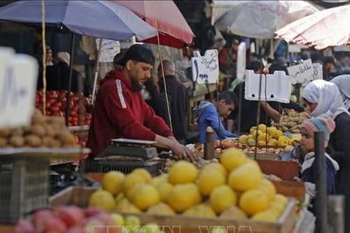 Khối Arab dự định lập thị trường lương thực chung