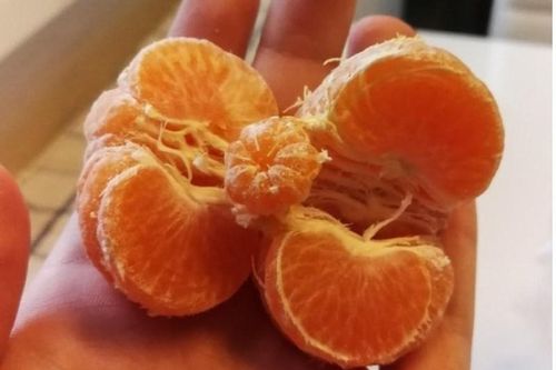 Những sự vật tưởng bình thường nhưng nhìn kỹ bạn sẽ phải ngạc nhiên