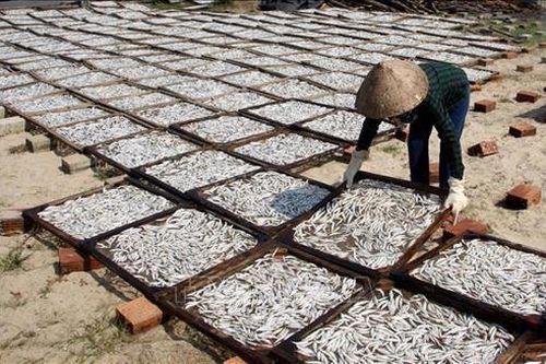Các món ăn tuyệt phẩm từ cá cơm khô của mẹ