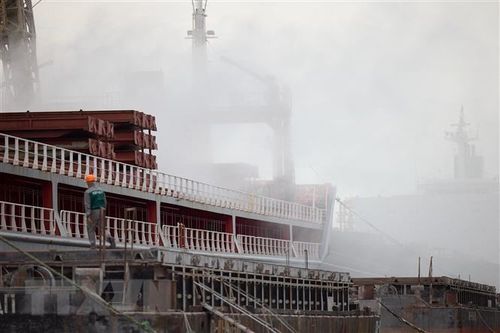 Ukraine: Chuyến tàu chở ngũ cốc đầu tiên đang trên đường đến Liban