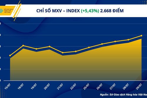Các mặt hàng chủ chốt đồng loạt tăng giá, Chỉ số MXV-Index bật tăng mạnh mẽ