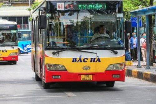 Ba doanh nghiệp được chỉ định thầu vận hành 5 tuyến buýt trợ giá