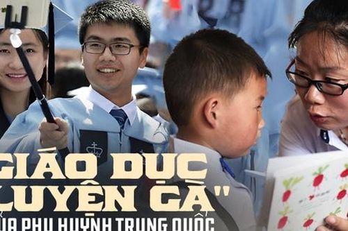Giáo dục 'luyện gà' của phụ huynh Trung Quốc: Khiến con mất hết thanh xuân liệu có giúp chúng 'hóa phụng thành rồng'?