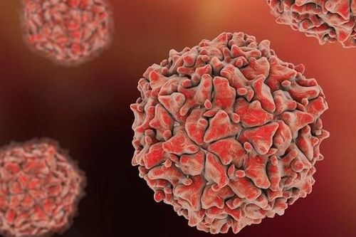 New York phát hiện virus bại liệt trong nước thải