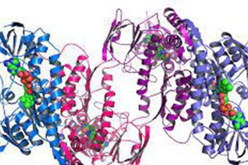 Mở rộng kho dữ liệu cấu trúc protein