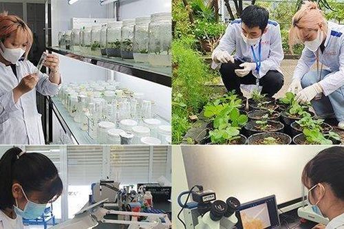 Giảm 30% học phí suốt Khóa học ngành Công nghệ Sinh học tại DTU năm 2022