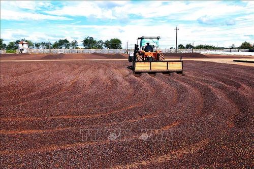 Thực thi Hiệp định EVFTA - Bài 2: Mở rộng dư địa hợp tác Việt Nam - EU