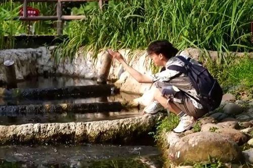Công viên không muỗi ở Trung Quốc hút khách tham quan