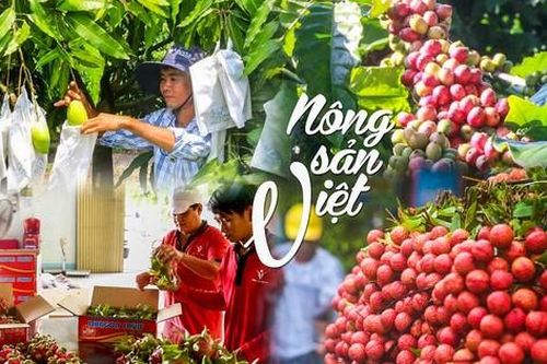 Nỗi buồn thương hiệu Việt
