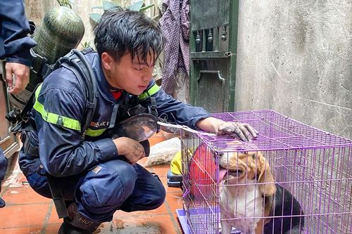 Hình ảnh khi đang làm nhiệm vụ của Trung úy Đỗ Đức Việt trước khi hy sinh gây xúc động mạnh