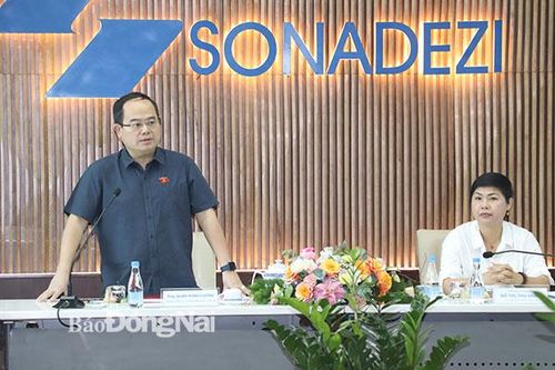 Giám sát hoạt động sản xuất kinh doanh tại Tổng công ty Sonadezi