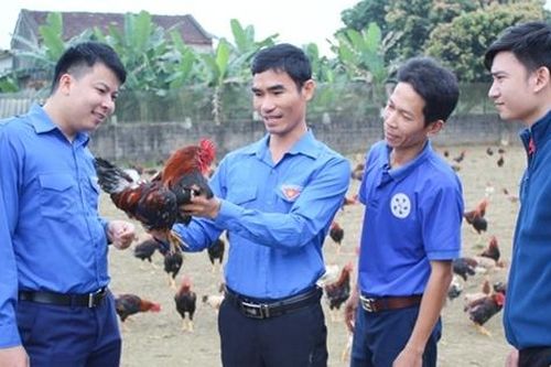 Nâng cao năng lực cạnh tranh khởi nghiệp cho thanh niên nông thôn
