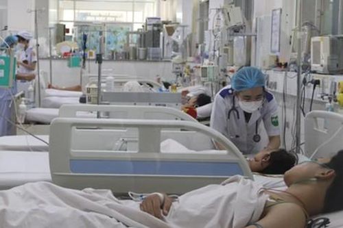 TPHCM ghi nhận thêm 2 trường hợp tử vong do sốt xuất huyết