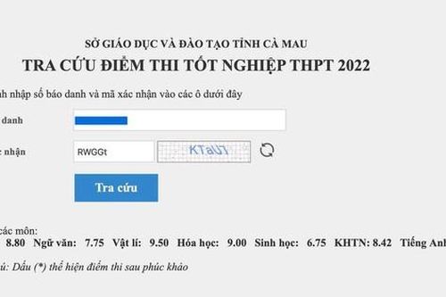 Bộ GD&ĐT yêu cầu báo cáo việc nam sinh trường chuyên ngủ quên trong giờ thi Tiếng Anh