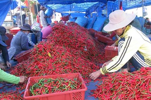 Những quy định nghiêm ngặt của thị trường xuất khẩu