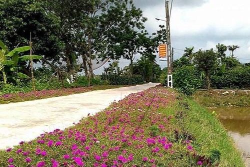 Nông thôn trước bước ngoặt chuyển mình