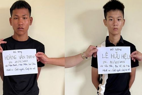 Hai thanh, thiếu niên sát hại bà bán sắt vụn, cướp tài sản