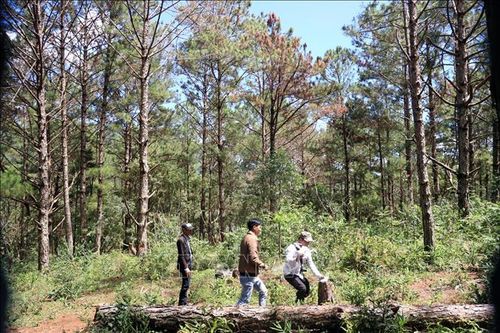 Khen thưởng đơn vị, cá nhân có hành động đẹp ở Đà Lạt