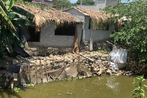 Chỉ đạo xử lý ô nhiễm môi trường từ chăn nuôi lợn trong khu dân cư