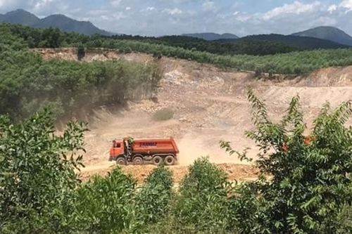 Công ty Lâm nghiệp nhiều lần để người dân lấn chiếm đất rừng trái phép