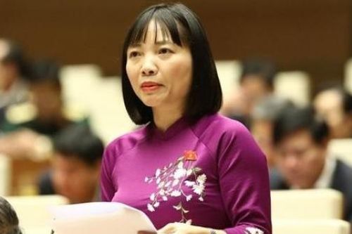 ĐBQH Nguyễn Thị Việt Nga: Bình đẳng giới không thực chất nếu mặc nhiên việc nhà, chăm sóc mọi người là của phụ nữ