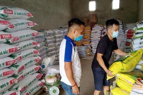 Vì sao nhiều loại phân bón vẫn tăng giá kỷ lục?