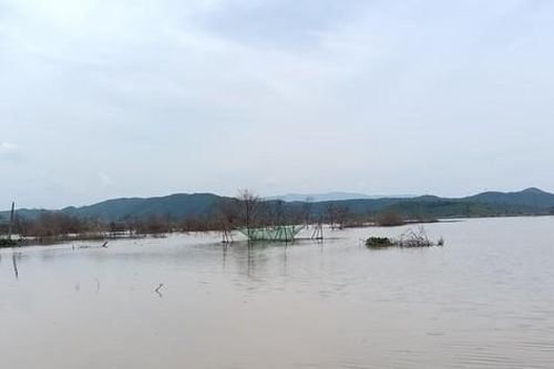 Hai anh em đi bắt ốc, tử vong dưới hồ thủy lợi Sông Lũy