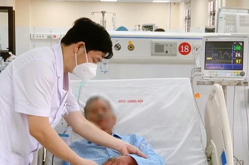 Đắp lá chữa rắn hổ mang cắn, người đàn ông suy đa phủ tạng suýt chết