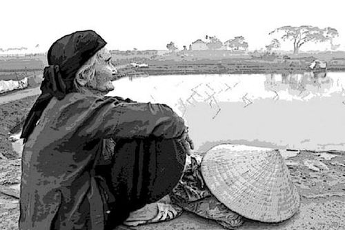 Mẹ già như chuối chín cây