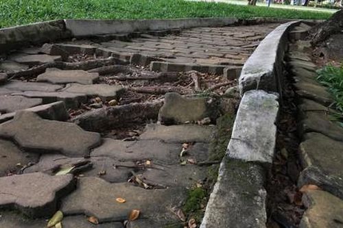 TPHCM: Những công viên chờ 'giải cứu'