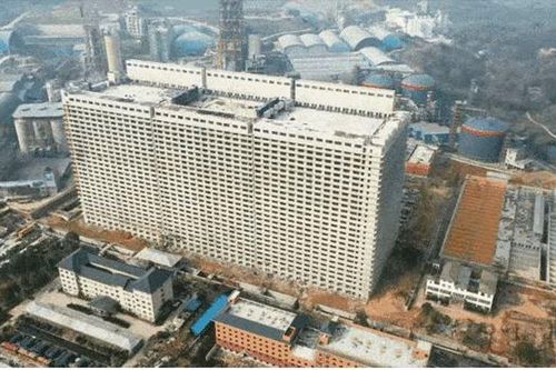 Xây cao ốc 26 tầng để… nuôi lợn