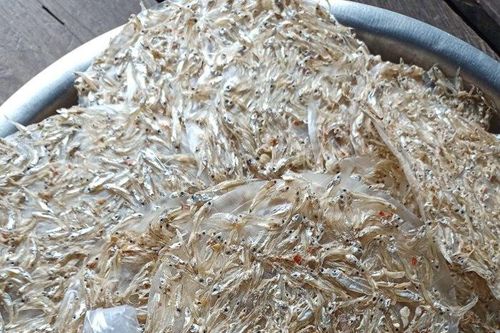 Sản vật từ dòng sông Sê San
