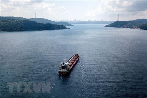 Ukraine: Nhóm tàu chở ngũ cốc thứ hai rời cảng ở Biển Đen