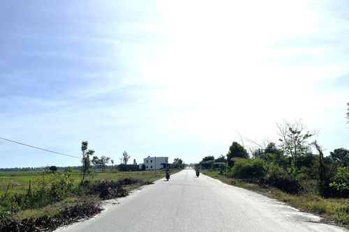 Quảng Nam: Thu hồi Quyết định chủ trương đầu tư đối với 02 dự án Khu nông nghiệp công nghệ cao của Công ty Cổ phần Tập đoàn T&T