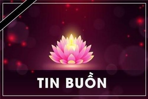 Đồng chí Đại tá NGUYỄN ĐÌNH MẠI từ trần