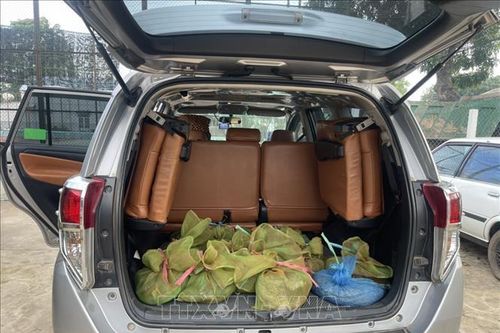 Phát hiện đối tượng vận chuyển trái phép 30 cá thể cầy hương