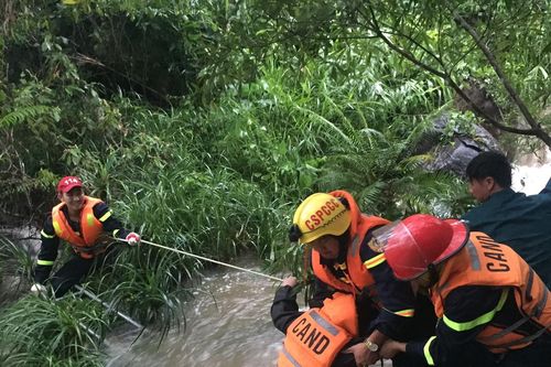 Chủ tịch nước khen ngợi cảnh sát cứu 23 thầy trò mắc kẹt bên bờ suối