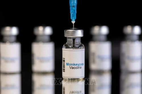 Đan Mạch tiêm vaccine phòng bệnh đậu mùa khỉ cho các nhóm dễ tổn thương