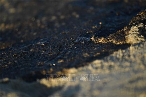 Mỹ ứng phó sự cố tràn dầu trên biển