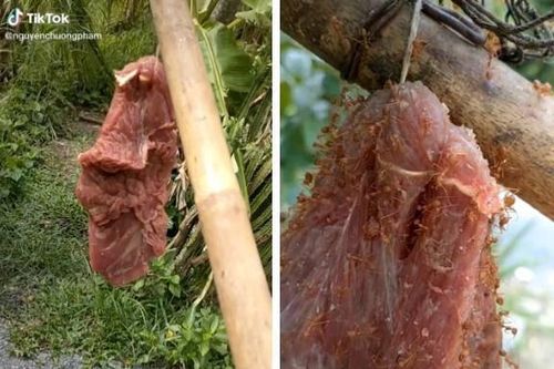Đặc sản ai nghe tên cũng 'rùng mình' chỉ có ở Vĩnh Phúc, ăn lại nghiện vì quá ngon