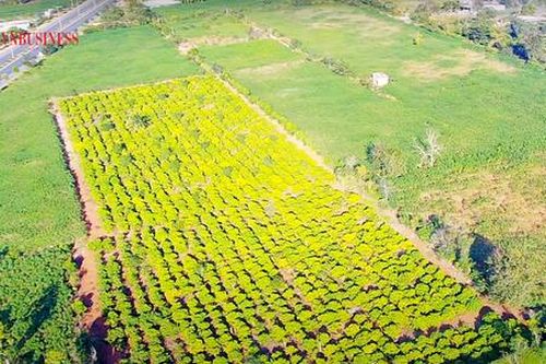 'Ăn theo' cao tốc Khánh Hòa – Buôn Ma Thuột, đất quê ở Đắk Lắk đội giá cả tỷ đồng