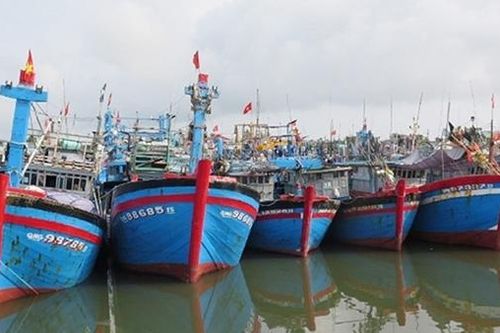 Để những con tàu được về với biển
